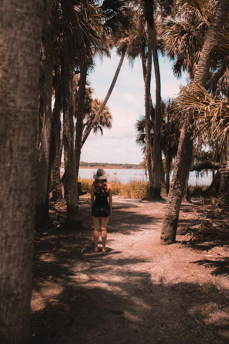 myakka river state park woman standing near palm trees sarasota